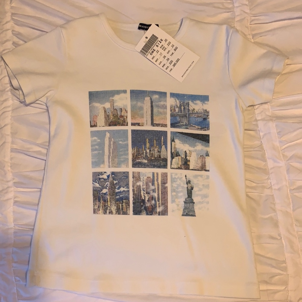 brandy skyscaper tee shirt